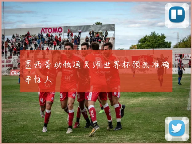 墨西哥动物通灵师世界杯预测准确率惊人