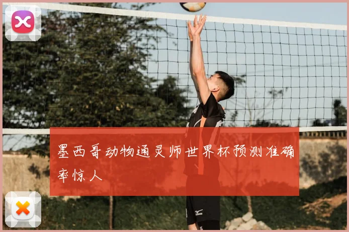 墨西哥动物通灵师世界杯预测准确率惊人